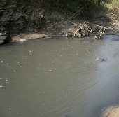 Fish died on a series of Serepok river