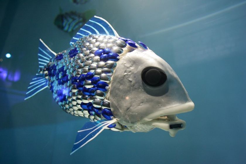 Fish robots rescue the fish from the oil spill