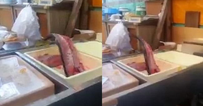 Fish that lost their heads, filtered bones cleanly still
