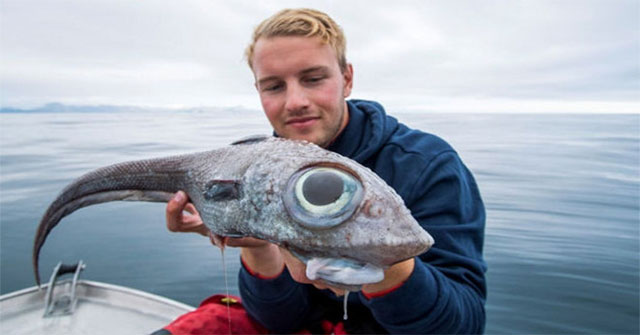 Fishing 'dinosaur fish', fishermen almost jumped out of the boat