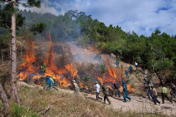 Five Mekong sub-countries fight smog pollution