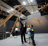 Flight secret of Quetzalcoatlus lizard