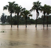 Flood caused 4 casualties, damage of 11 billion