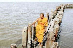 Flood tide threatens 21 great cities