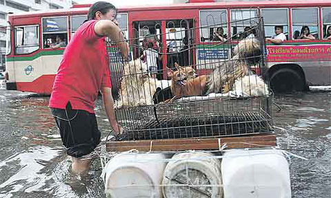 Floods flood into Bangkok's northern district