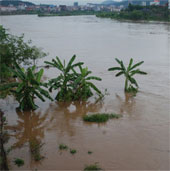 Floods washed away 13 houses with 12 people