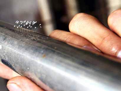 Flowers grow from ... steel pipes
