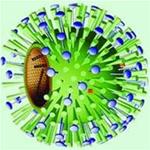 Flu B syndrome and things to note