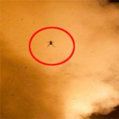 Flying frogs with NASA spacecraft