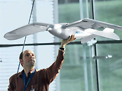 Flying robot like seagull