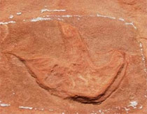 Follow dinosaurs from above ... aircraft