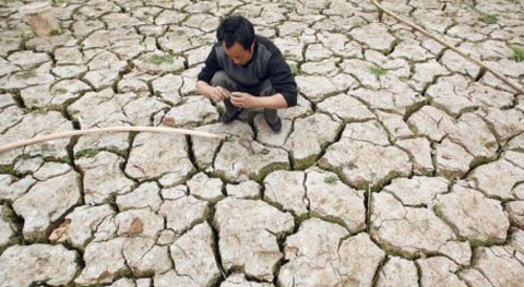 Food prices will double by 2030