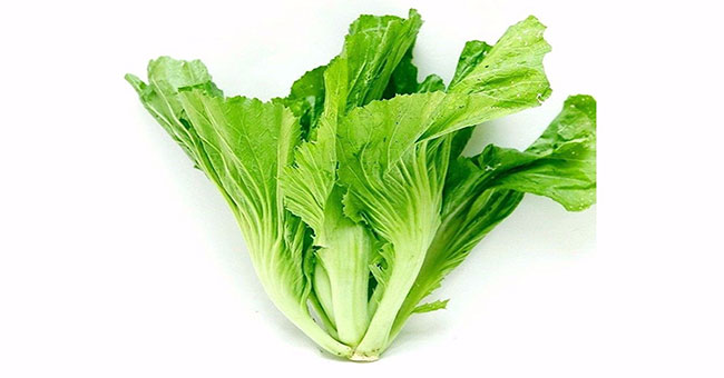 Food taste from green cabbage