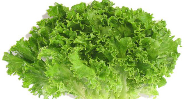 Foods rich in vitamin K you need to know
