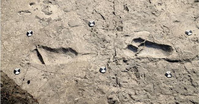 Footprints of 3.6 million years of prehistoric people reveal many secrets