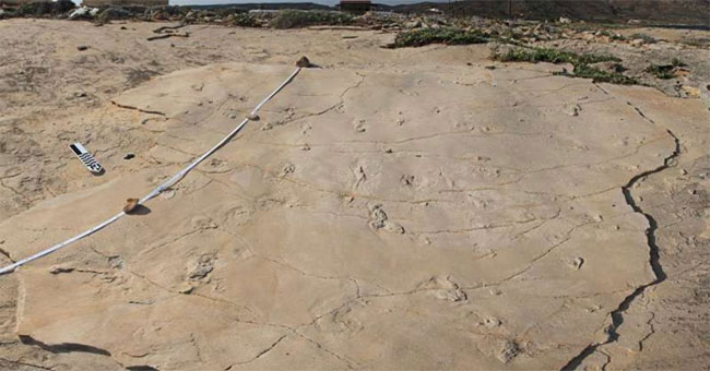 Footprints of 5.7 million years in Greece challenge evolution theory