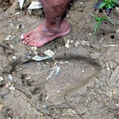 Footprints of mysterious giants in Malaysia