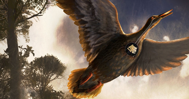 For the first time, an ancient bird fossil was discovered in the Middle Ages