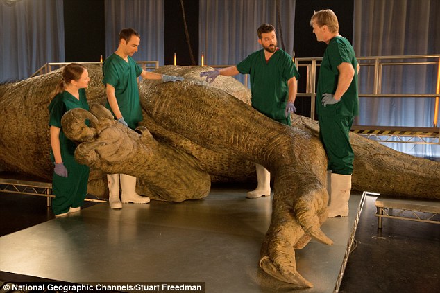 For the first time, an autopsy of the most complete T-Rex dinosaur