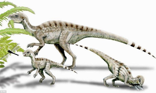 For the first time discovered omnivorous dinosaurs