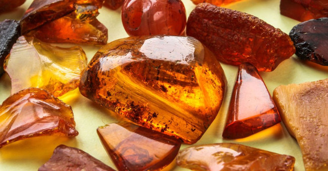 For the first time found ticks spider webs in amber pieces
