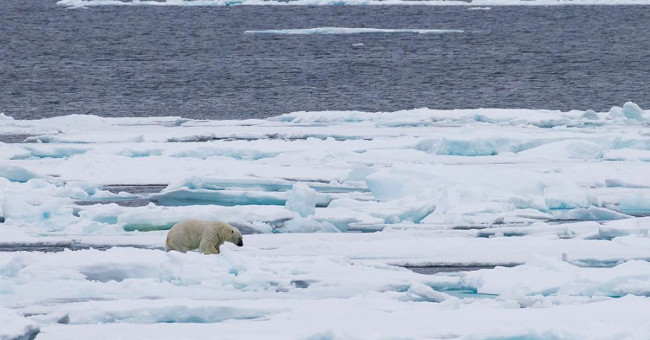For the first time in 100,000 years, the Arctic ice can melt completely