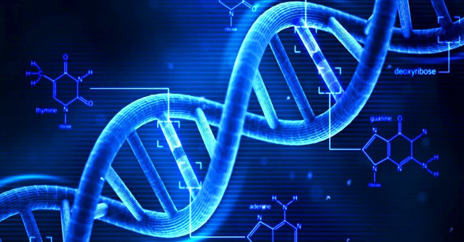 For the first time in history, the aging process can be reversed, helping young people never grow old