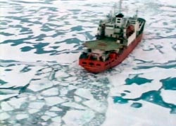 For the first time in history, there may be no Arctic