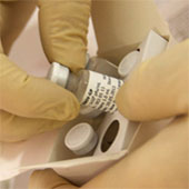 For the first time, mass testing of Ebola medicines
