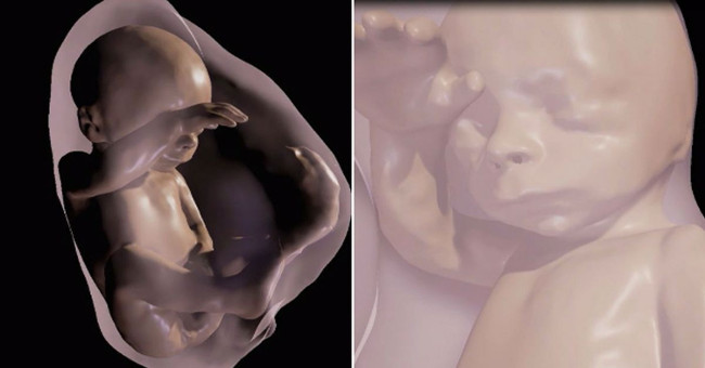 For the first time parents can meet the fetus through 3D virtual reality
