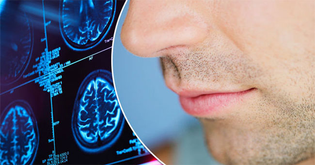 For the first time, scientists have drawn a human olfactory map