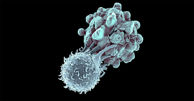 For the first time, three cancer patients in the US were treated with CRISPR gene editing technology