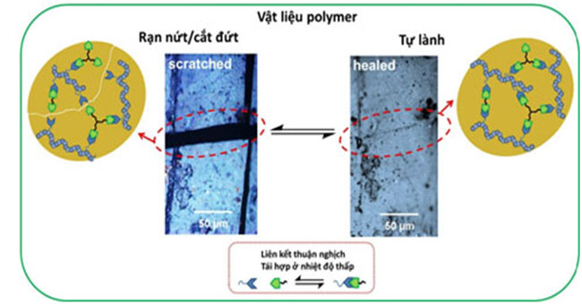 For the first time Vietnam created smart silicon materials
