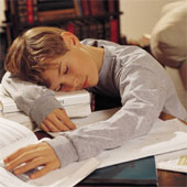 Forcing children to do too many homework: Loi is not good