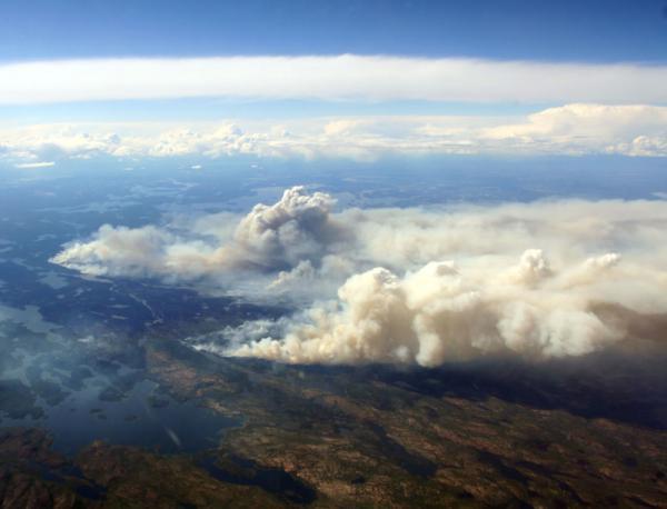 Forest fire and ozone pollution