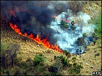 Forest fire, Paraguay declared a state of emergency