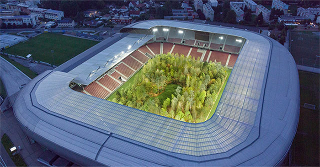 Forest in the football field
