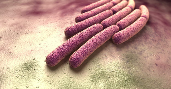 Forget sharks, these 5 bacteria also make you