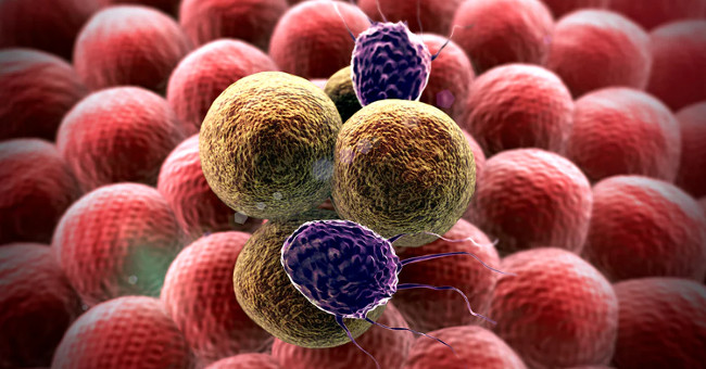 Former director of K Hospital shared 5 things that are enough to prevent 80% of cancer