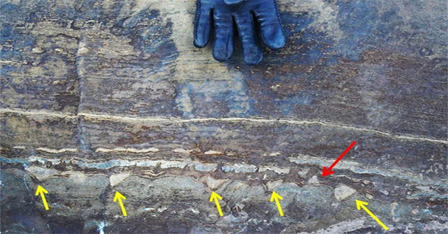 'Fossil' 3.7 billion years old is once again shocking because it seems to be just normal stone