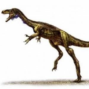 Fossil discovery of a new dinosaur