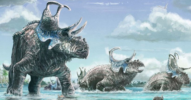 Fossil discovery of new dinosaurs