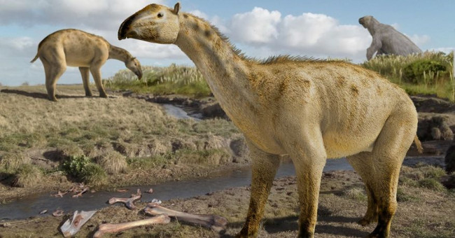 Fossil 'hybrid' elephant and three million year old horse