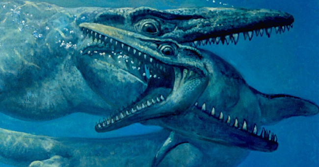 Fossil sea monsters 75 million years of raw marks the enemy's teeth