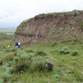 Fossil-filled fossil soil was found