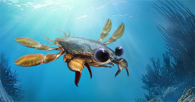 Fossils 90 million years ago revealed a bizarre crustacean appearance