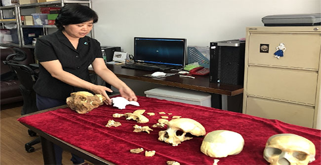 Fossils discovered 300,000 years old