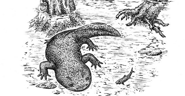 Fossils of 167 million year old salamander were discovered