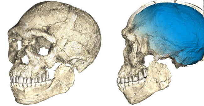Fossils of 300,000 years old reveal the unexpected origins of humanity