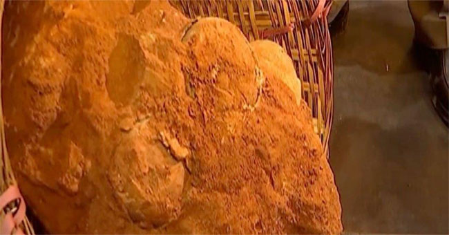 Fossils of dinosaur eggs 70 million years in China